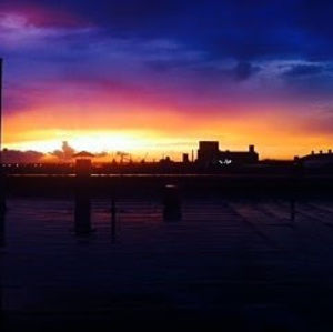 Meet your Posher, Laila